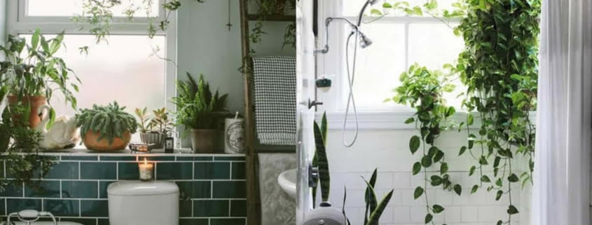Il bagno è arredato con piante in vaso e pendenti